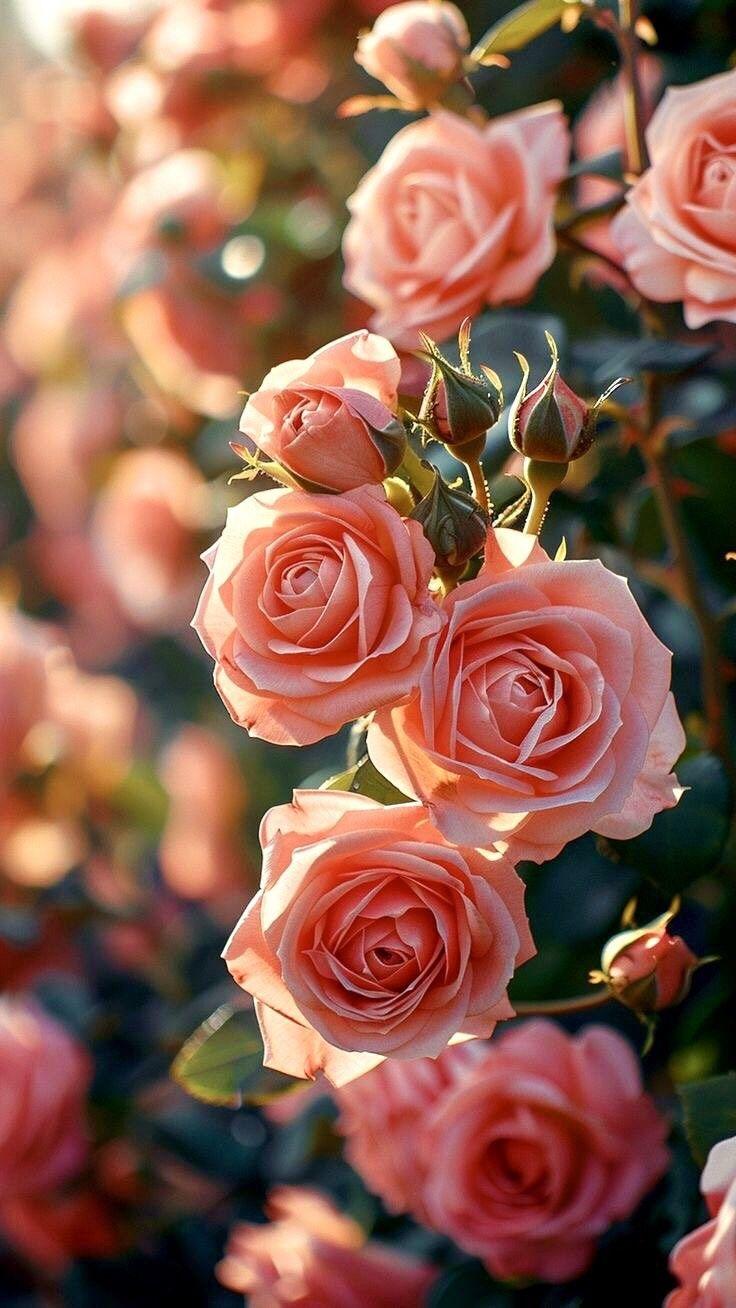 Celestial Grace Elegant Floral Harmony